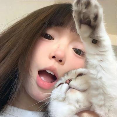 群岛